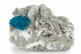 Vibrant Blue Cavansite Crystals on Sparkling Stilbite - India #340998-1